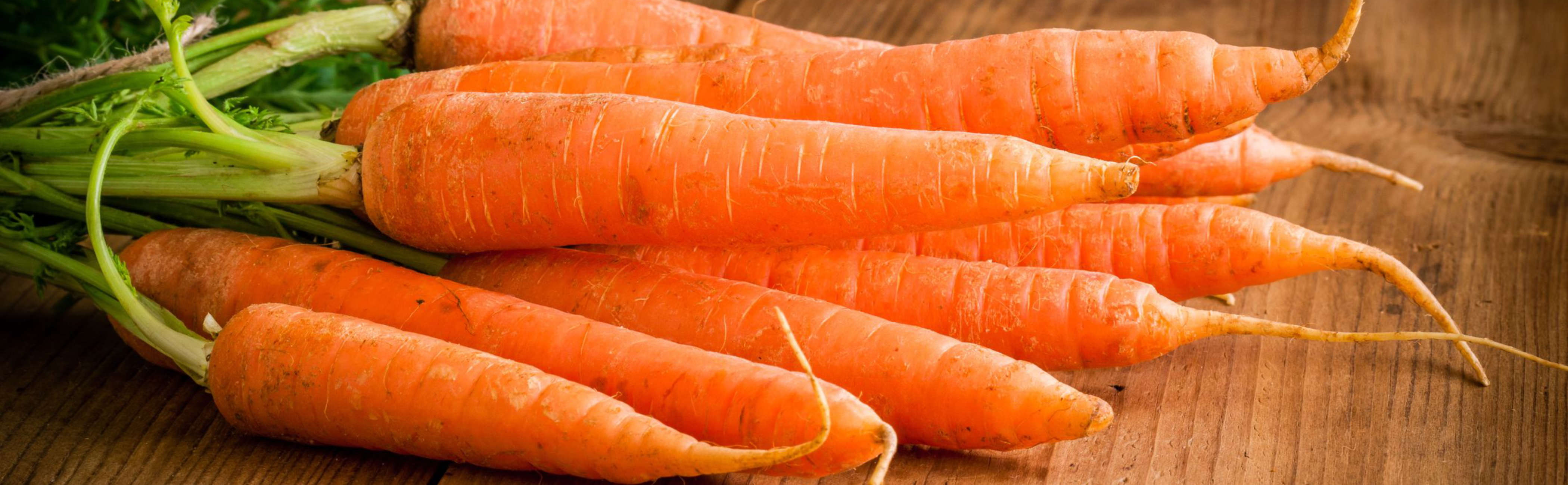 a bunch of fresh carrots that may or may not become soup.